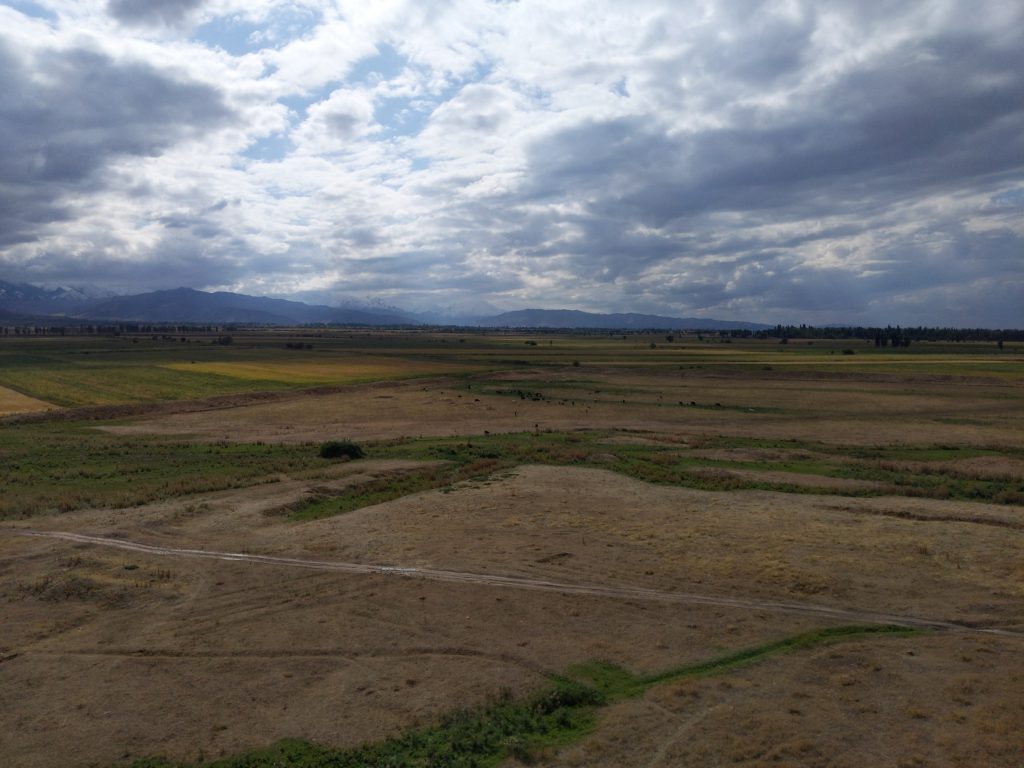 図１無限に広がる草地